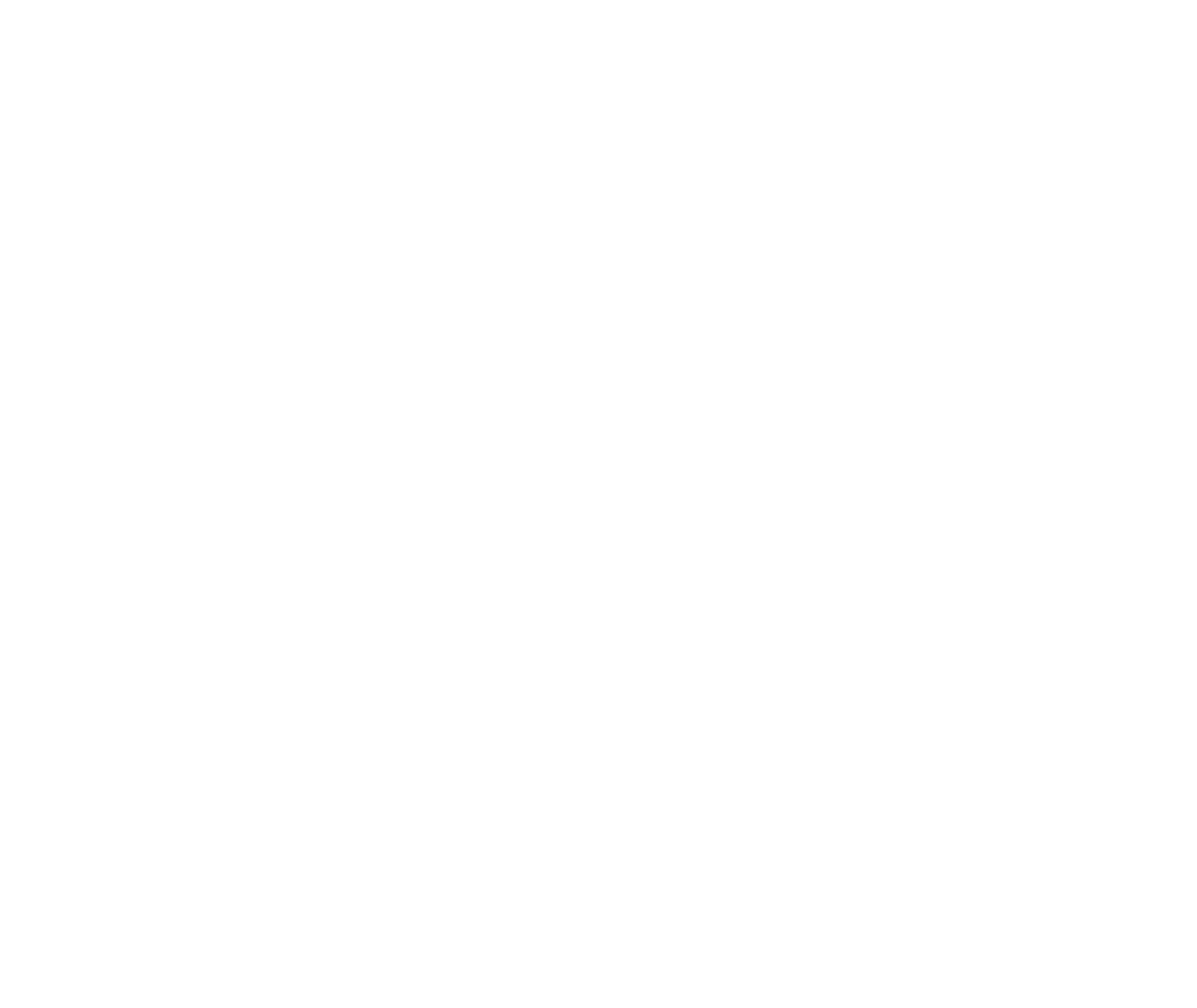 V3 Logo